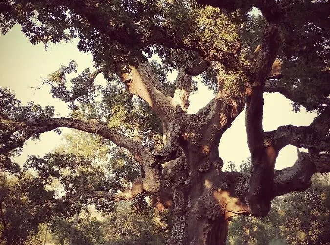 Дом отдыха Ambroz Y Plata Альдеануэва-дель-Камино