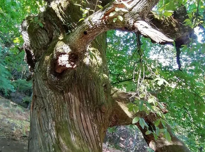 Ambroz Y Plata Holiday home Aldeanueva del Camino